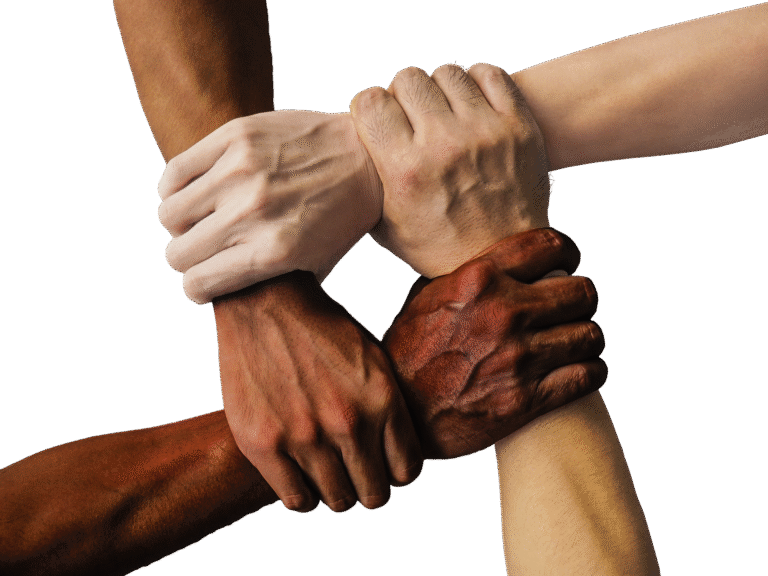 Como o Apoio Mútuo Transforma Desafios em Conquistas