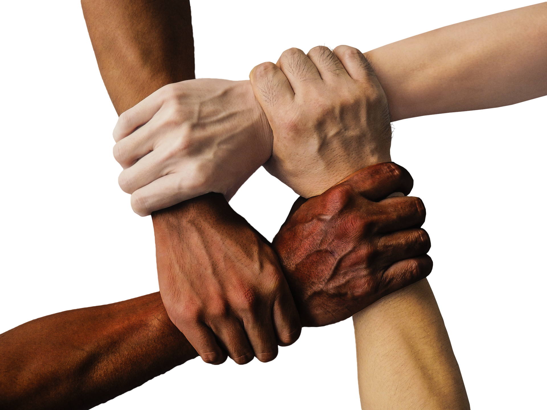 Como o Apoio Mútuo Transforma Desafios em Conquistas